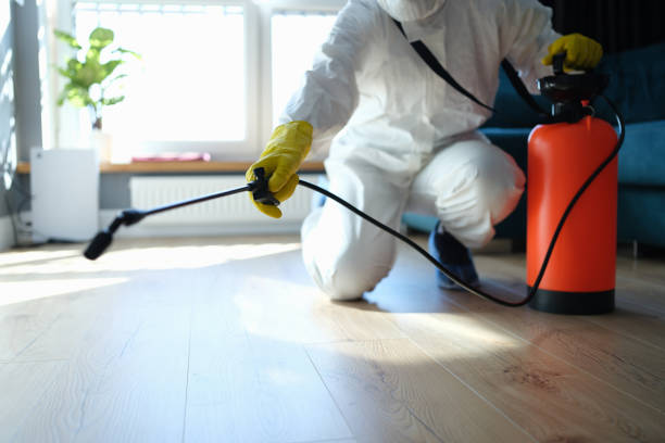 Reliable Infectious Disease Decontamination contractor in Bodega Bay, CA by Trauma Clean Pros